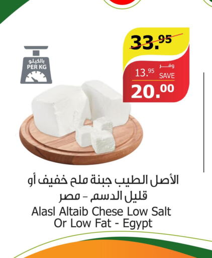 SHAN Salt  in الراية in مملكة العربية السعودية, السعودية, سعودية - تبوك