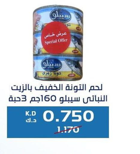  Tuna - Canned  in جمعية كيفان التعاونية in الكويت - مدينة الكويت