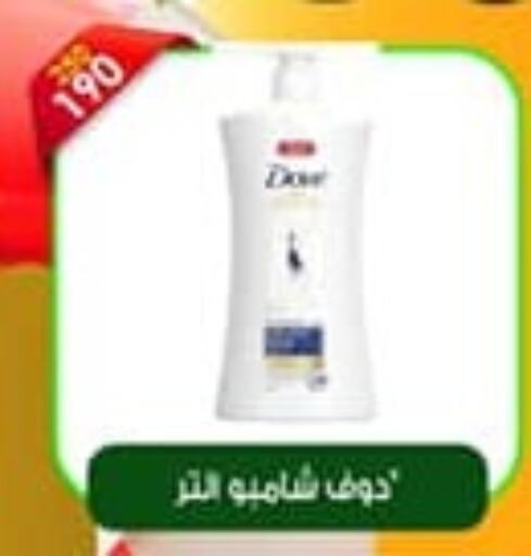 DOVE Shampoo / Conditioner  in Master Gomla Market in Egypt - Cairo