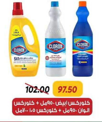 CLOROX General Cleaner  in Sarai Market  in Egypt - Cairo