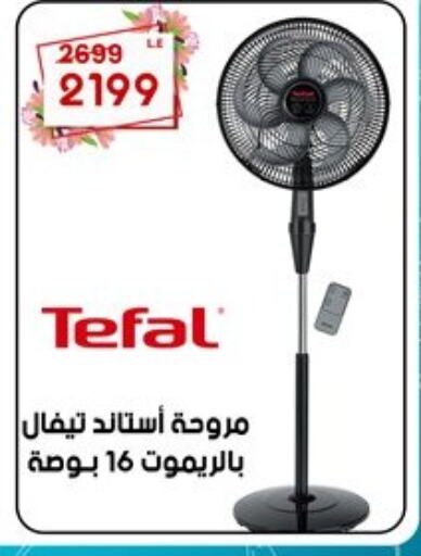 TEFAL Fan  in Al Morshedy  in Egypt - Cairo