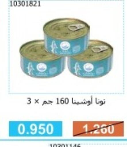  Tuna - Canned  in جمعية مشرف التعاونية in الكويت - مدينة الكويت