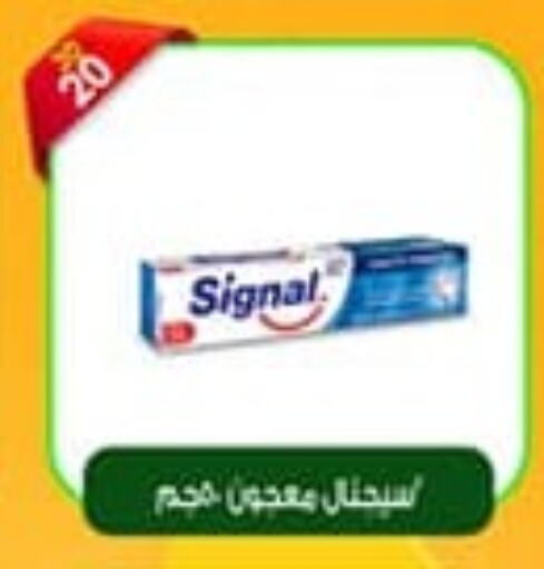 SIGNAL Toothpaste  in Master Gomla Market in Egypt - Cairo