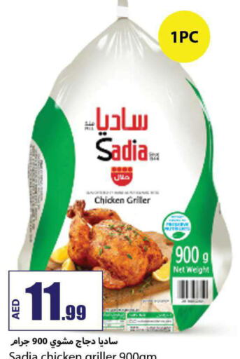 SADIA Frozen Whole Chicken  in  روابي ماركت عجمان in الإمارات العربية المتحدة , الامارات - الشارقة / عجمان