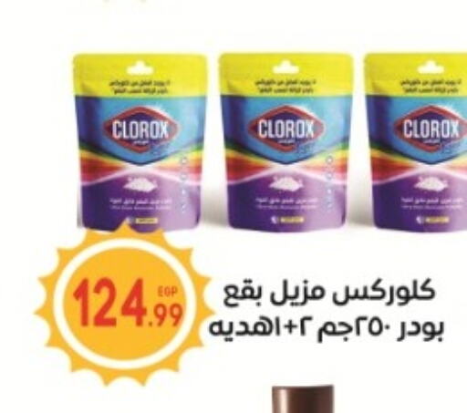 CLOROX General Cleaner  in El mhallawy Sons in Egypt - Cairo