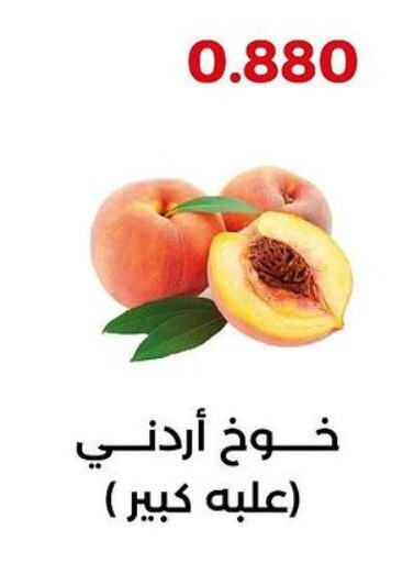  Peach  in  Adailiya Cooperative Society in Kuwait - Ahmadi Governorate
