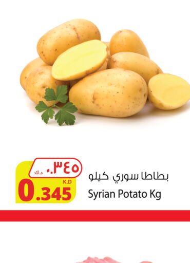  Potato  in Agricultural Food Products Co. in Kuwait - Ahmadi Governorate