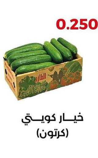  Cucumber  in جمعية العديلة التعاونية in الكويت - محافظة الأحمدي