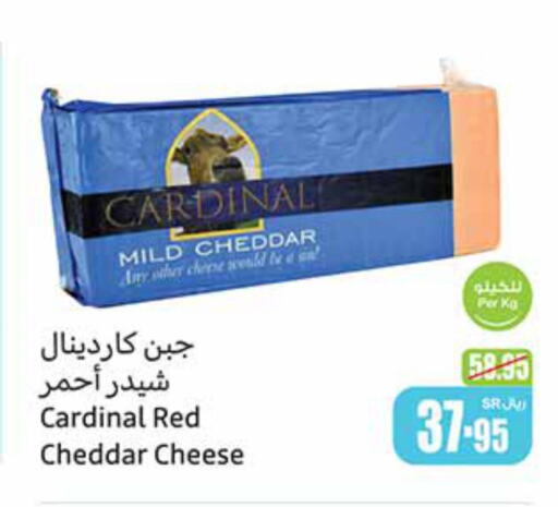  Cheddar Cheese  in أسواق عبد الله العثيم in مملكة العربية السعودية, السعودية, سعودية - الزلفي