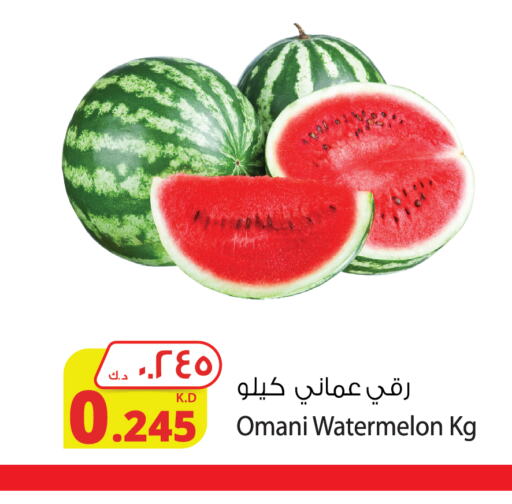  Watermelon  in Agricultural Food Products Co. in Kuwait - Ahmadi Governorate