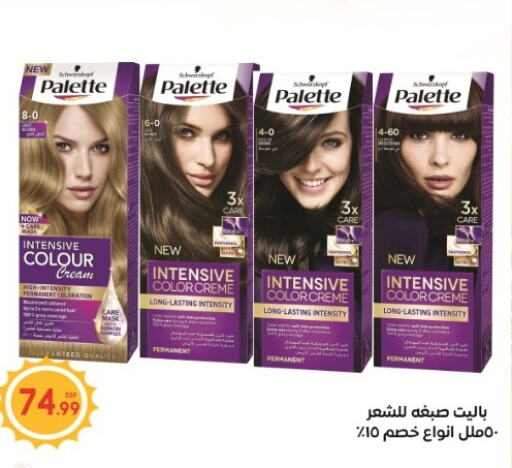 PALETTE Hair Cream  in أولاد المحاوى in Egypt - القاهرة