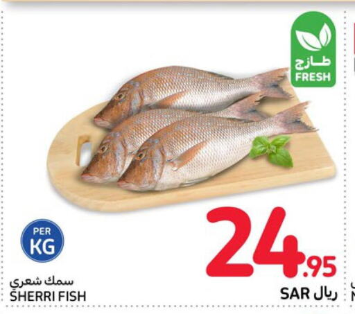  in Carrefour in KSA, Saudi Arabia, Saudi - Al Khobar