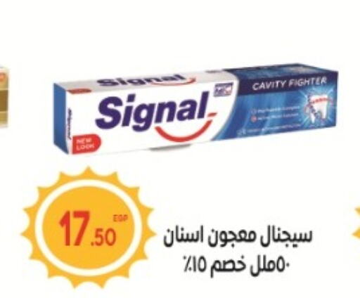 SIGNAL Toothpaste  in El mhallawy Sons in Egypt - Cairo