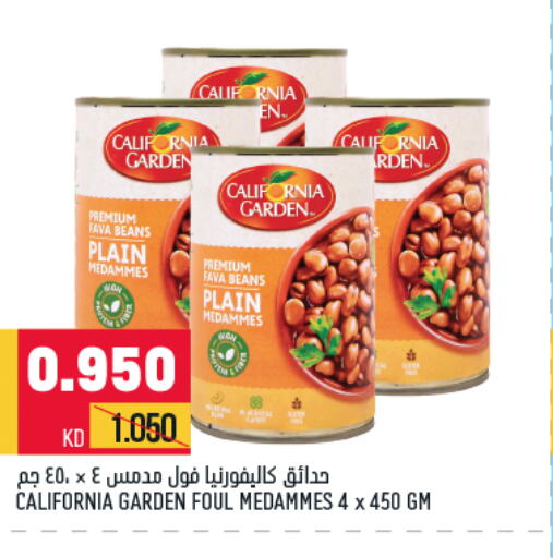 CALIFORNIA Fava Beans  in أونكوست in الكويت - مدينة الكويت