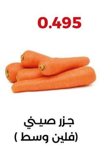  Carrot  in  Adailiya Cooperative Society in Kuwait - Ahmadi Governorate