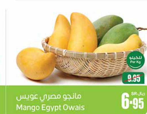  Mangoes  in Othaim Markets in KSA, Saudi Arabia, Saudi - Al Khobar