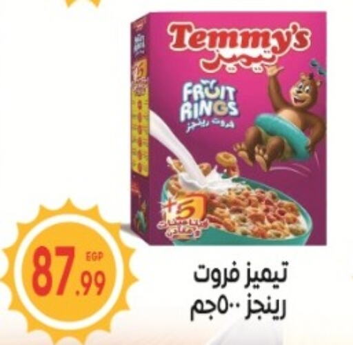 TEMMYS   in El mhallawy Sons in Egypt - Cairo