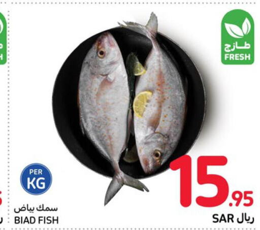  in Carrefour in KSA, Saudi Arabia, Saudi - Al Khobar
