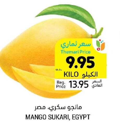  Mangoes  in Tamimi Market in KSA, Saudi Arabia, Saudi - Al Khobar