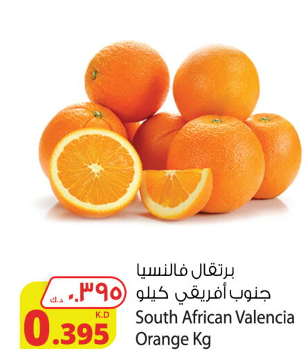  Orange  in Agricultural Food Products Co. in Kuwait - Ahmadi Governorate