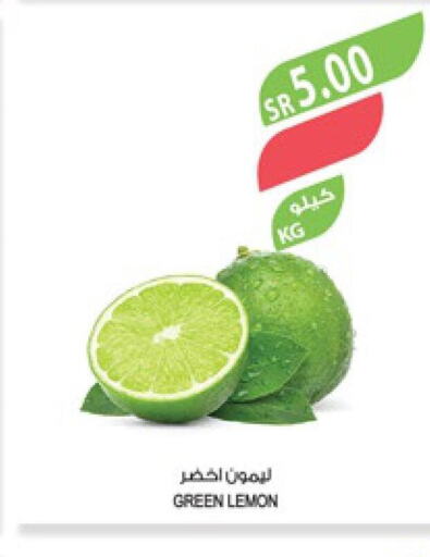  Pickle  in المزرعة in مملكة العربية السعودية, السعودية, سعودية - سيهات