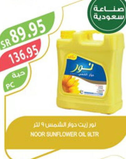 NOOR Sunflower Oil  in Farm  in KSA, Saudi Arabia, Saudi - Saihat