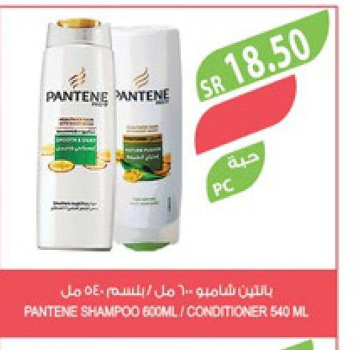 PANTENE Shampoo / Conditioner  in Farm  in KSA, Saudi Arabia, Saudi - Riyadh