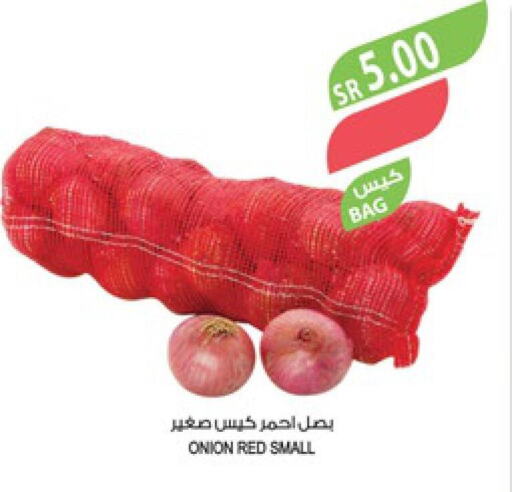 Onion  in المزرعة in مملكة العربية السعودية, السعودية, سعودية - جازان