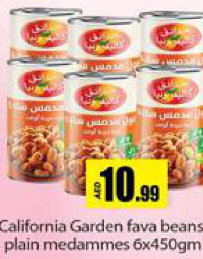 CALIFORNIA GARDEN Fava Beans  in جلف هايبرماركت ذ.م.م in الإمارات العربية المتحدة , الامارات - رَأْس ٱلْخَيْمَة