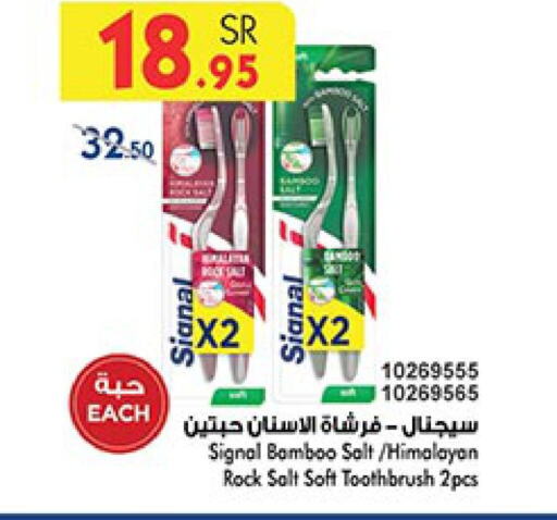 SIGNAL Toothbrush  in بن داود in مملكة العربية السعودية, السعودية, سعودية - المدينة المنورة