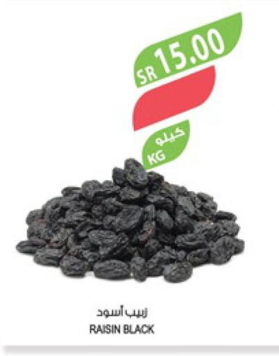  Spices / Masala  in المزرعة in مملكة العربية السعودية, السعودية, سعودية - سيهات