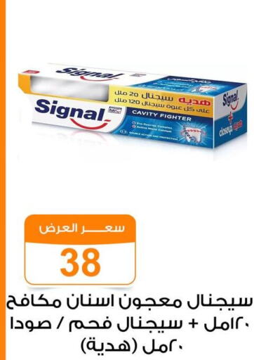 SIGNAL Toothpaste  in جملة ماركت in Egypt - القاهرة