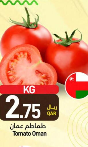  Tomato  in ســبــار in قطر - الوكرة