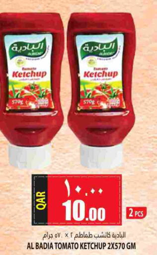  Tomato Ketchup  in مرزا هايبرماركت in قطر - الوكرة