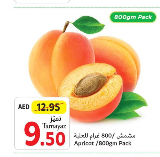  Mangoes  in Union Coop in UAE - Abu Dhabi
