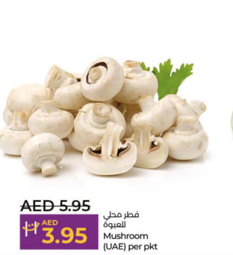  Mushroom  in لولو هايبرماركت in الإمارات العربية المتحدة , الامارات - الشارقة / عجمان