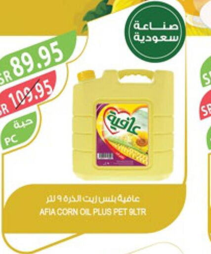 AFIA Corn Oil  in Farm  in KSA, Saudi Arabia, Saudi - Saihat