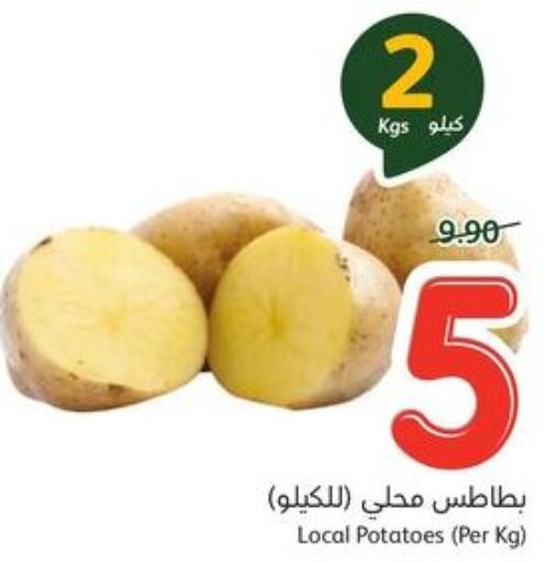  Potato  in هايبر بنده in مملكة العربية السعودية, السعودية, سعودية - القنفذة