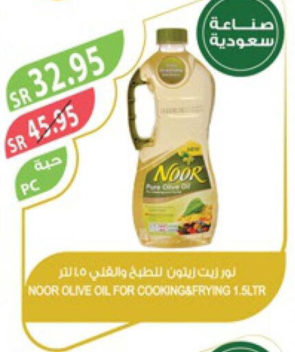 NOOR Olive Oil  in المزرعة in مملكة العربية السعودية, السعودية, سعودية - سيهات