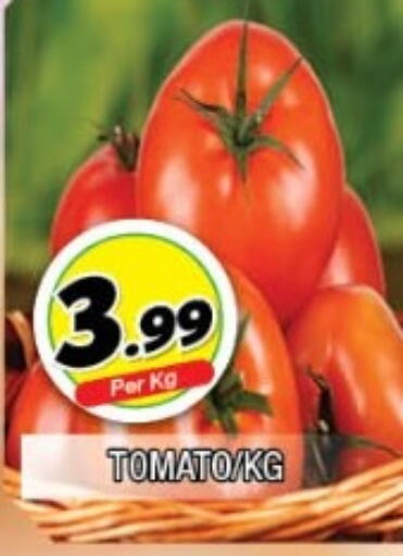  Tomato  in المدينة in الإمارات العربية المتحدة , الامارات - الشارقة / عجمان