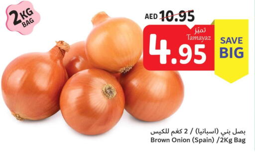  Onion  in تعاونية الاتحاد in الإمارات العربية المتحدة , الامارات - الشارقة / عجمان