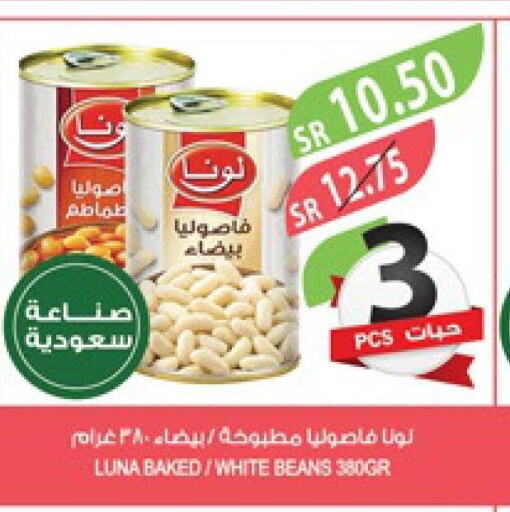 LUNA Baked Beans  in Farm  in KSA, Saudi Arabia, Saudi - Saihat