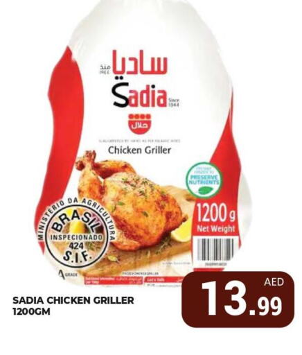 SADIA Frozen Whole Chicken  in كيرالا هايبرماركت in الإمارات العربية المتحدة , الامارات - رَأْس ٱلْخَيْمَة