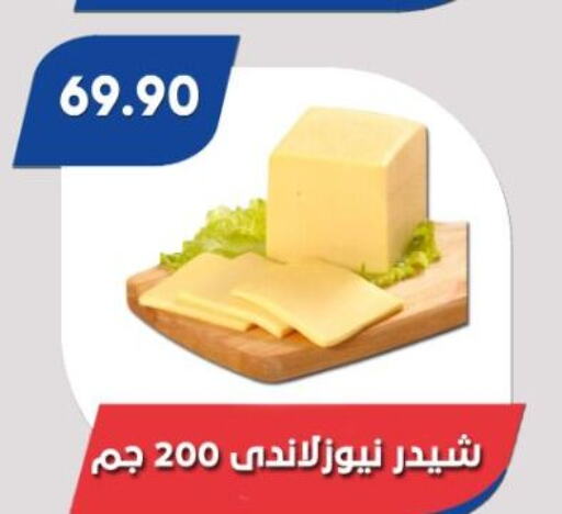  Cheddar Cheese  in Bassem Market in Egypt - Cairo