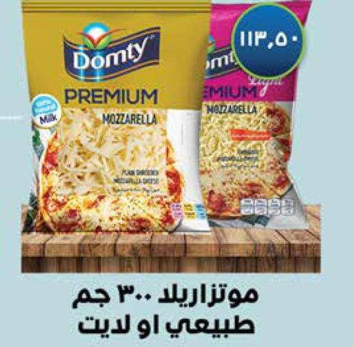 DOMTY Mozzarella  in Seoudi Supermarket in Egypt - Cairo