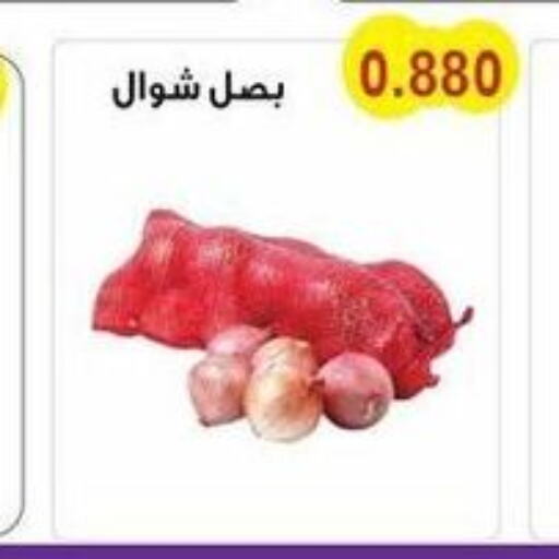  Onion  in Salwa Co-Operative Society  in Kuwait - Ahmadi Governorate