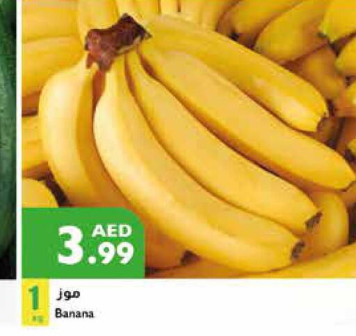  Banana  in إسطنبول سوبرماركت in الإمارات العربية المتحدة , الامارات - الشارقة / عجمان