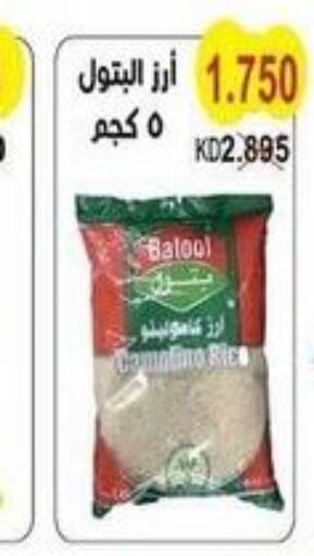 Egyptian / Calrose Rice  in Salwa Co-Operative Society  in Kuwait - Ahmadi Governorate