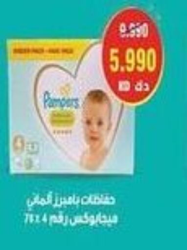 Pampers   in Salwa Co-Operative Society  in Kuwait - Ahmadi Governorate