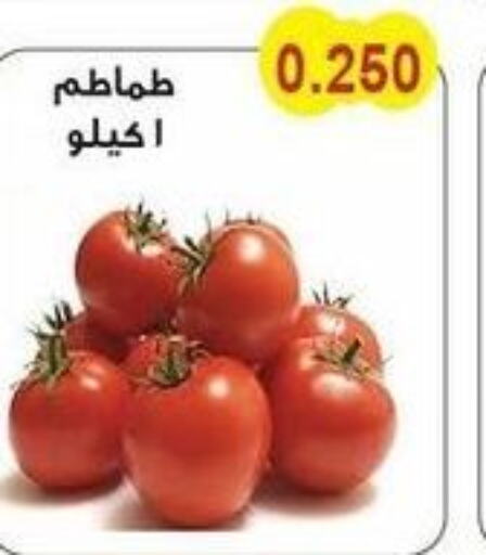  Tomato  in Salwa Co-Operative Society  in Kuwait - Kuwait City